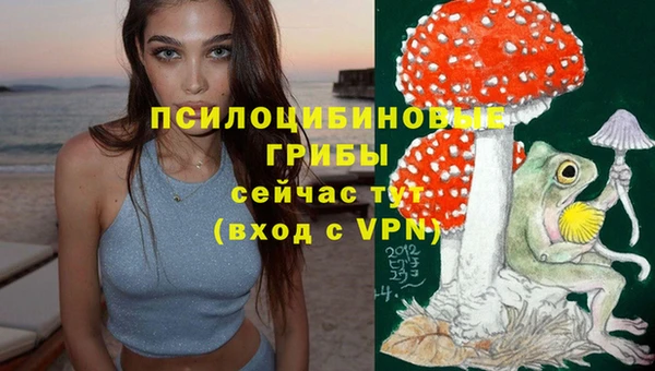винт Каменногорск