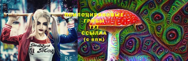 ешки Каменск-Шахтинский
