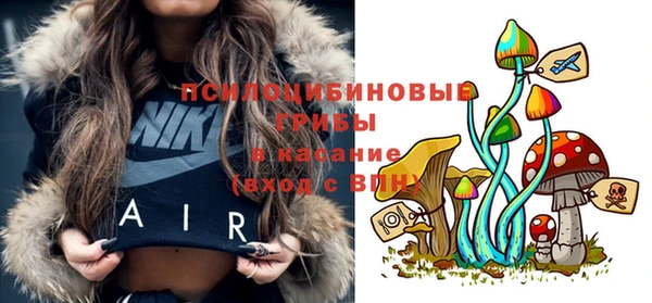таблы Каменка
