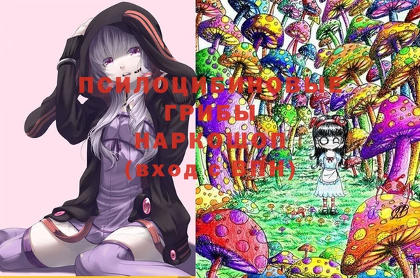 винт Каменногорск
