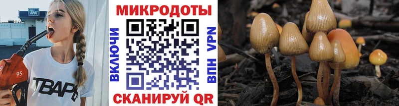 Псилоцибиновые грибы Magic Shrooms  Купить  Невель 
